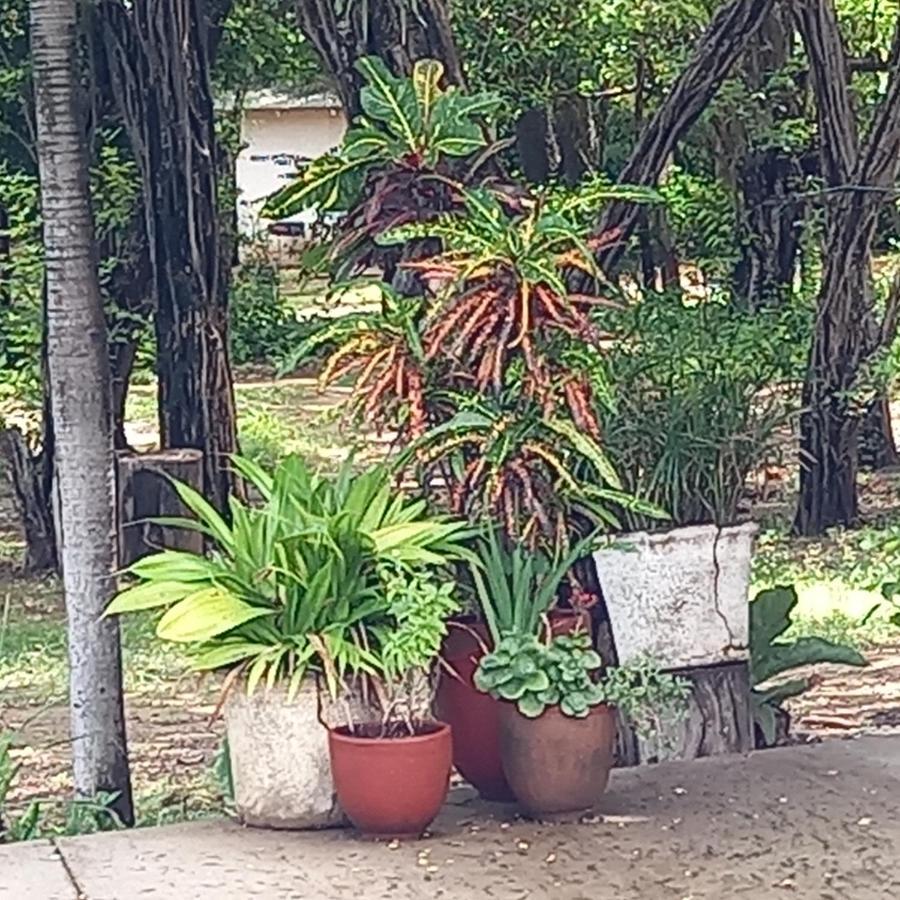 La Veranera, Playa El Coco San Juan del Sur Exteriör bild