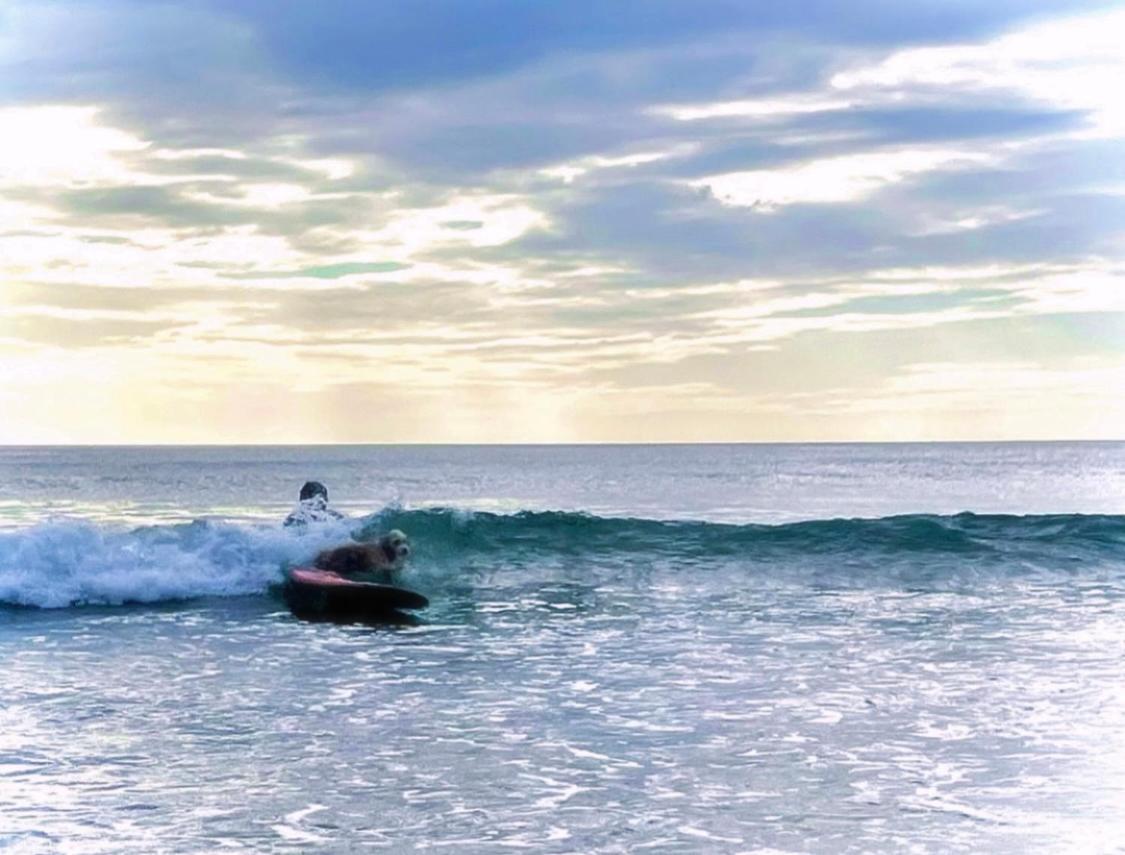 La Veranera, Playa El Coco San Juan del Sur Exteriör bild
