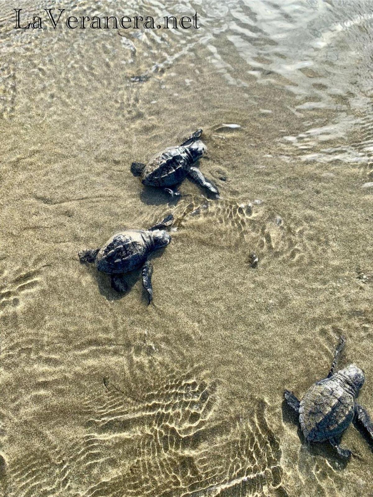 La Veranera, Playa El Coco San Juan del Sur Exteriör bild